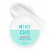 A'pieu Mint Cho Sebum Free Sponge Cream - Точечный крем-губка для жирной кожи